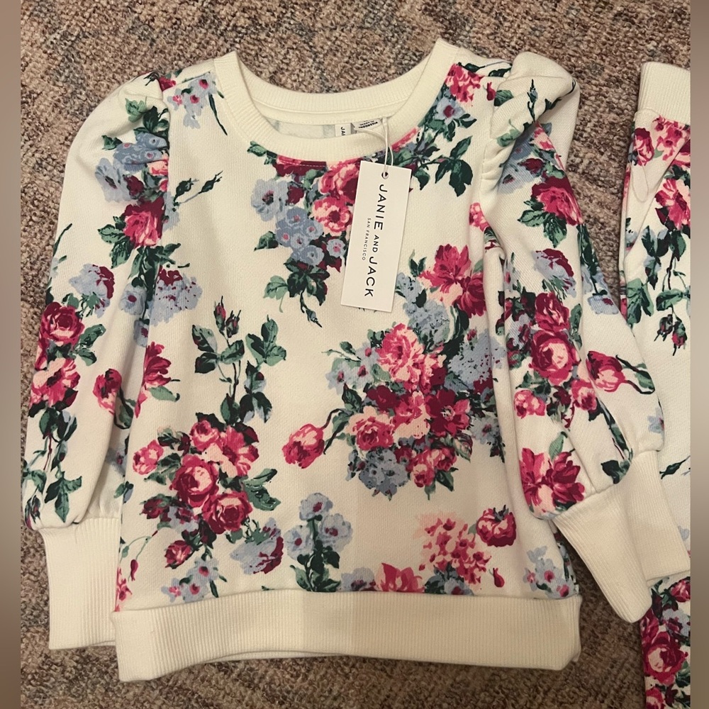 COPY - NWT Janie and Jack Floral Sweatsuit